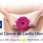 Control Ginecológico Anual Control Ginecológico Anual